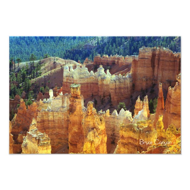 Bryce Canyon Fototryck (Framsidan)