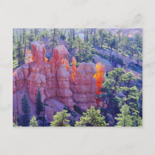 Bryce Canyon Glowing Vykort