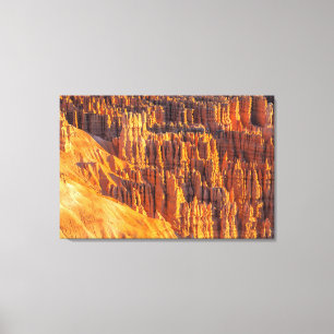 Bryce Canyon Hoodoos Canvastryck