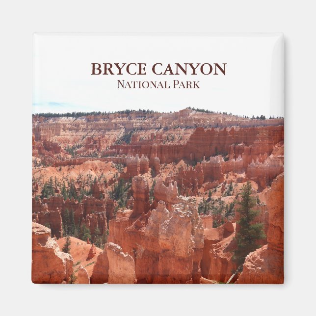 Bryce Canyon National Park Magnet (Framsidan)