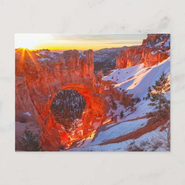 Bryce Canyon National Park Natural Bridge Vykort (Framsida)