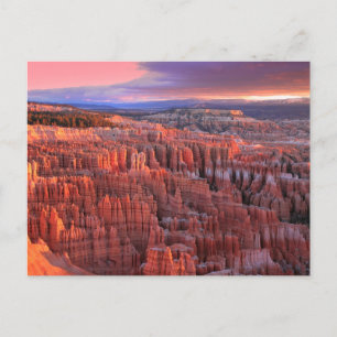 Bryce Canyon National Park Photo Postcard Vykort