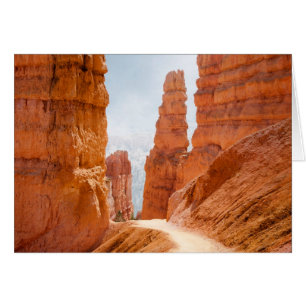 Bryce Canyon National Park Trail Hälsningskort
