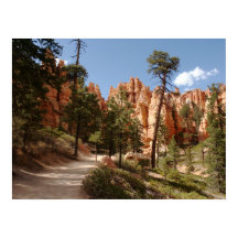 Bryce Canyon National Park Trail