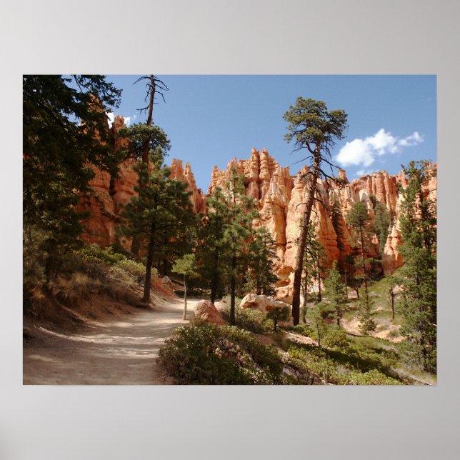 Bryce Canyon National Park Trail Poster (Framsidan)