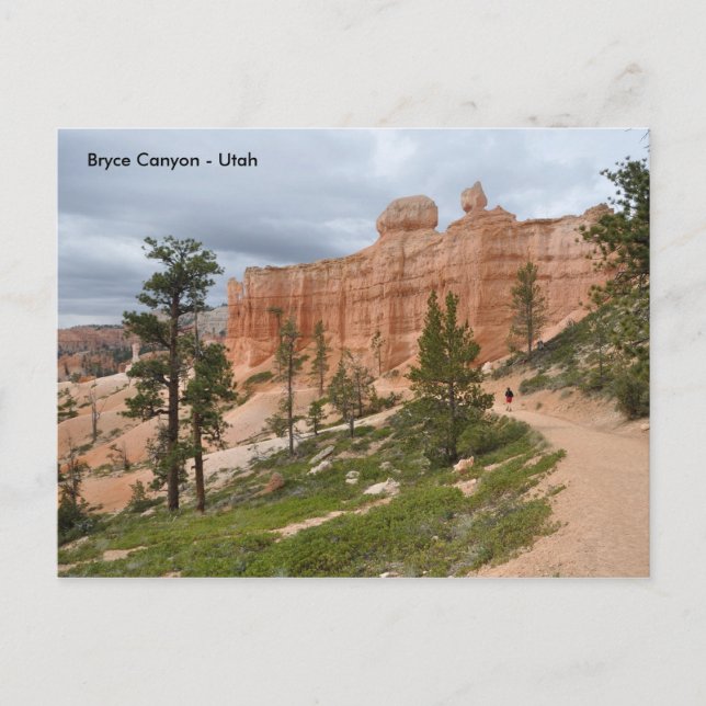 Bryce Canyon National Park Trail - Utah Vykort (Framsida)