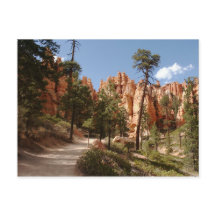 Bryce Canyon National Park Trail
