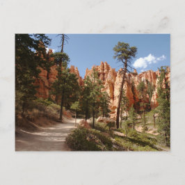 Bryce Canyon National Park Trail Vykort