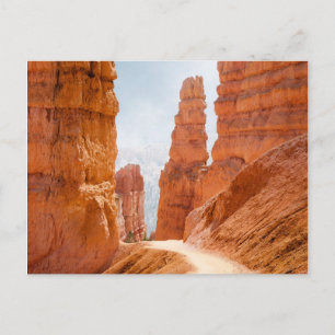 Bryce Canyon National Park Trail Vykort