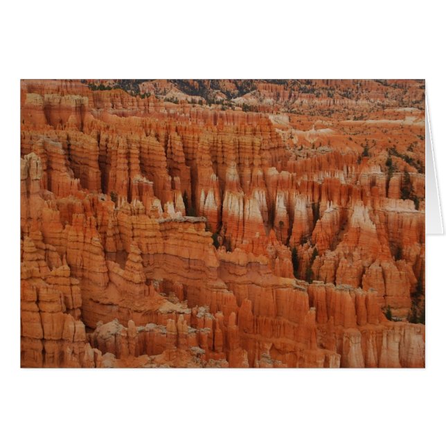 Bryce Canyon National Park, Utah, kort (Framsidan Horizontal)