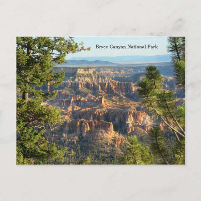 Bryce Canyon National Park, Utah Postcard Vykort (Framsida)