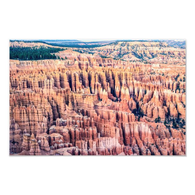 Bryce Canyon National Park - Utah, USA Fototryck (Framsidan)