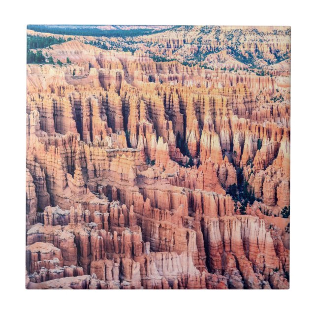 Bryce Canyon National Park - Utah, USA Kakelplatta (Framsidan)