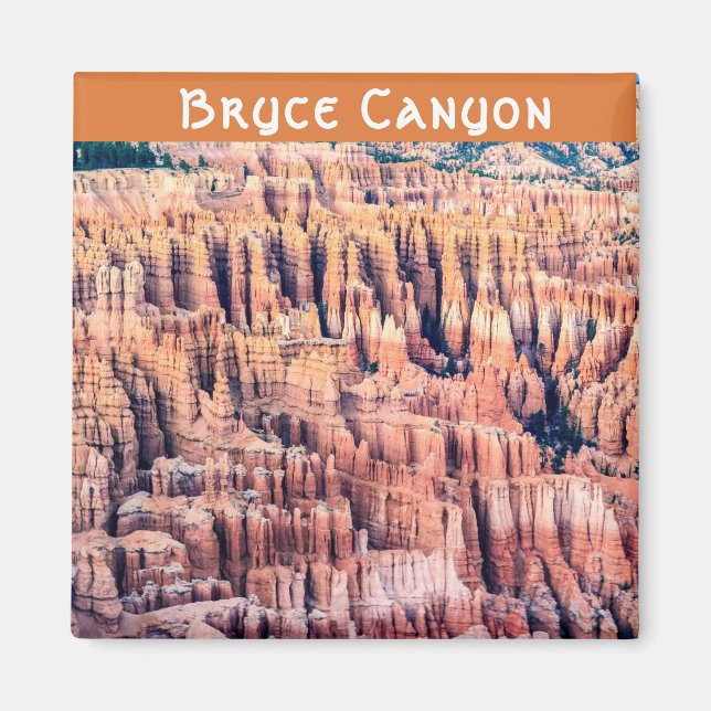 Bryce Canyon National Park - Utah, USA Magnet (Framsidan)