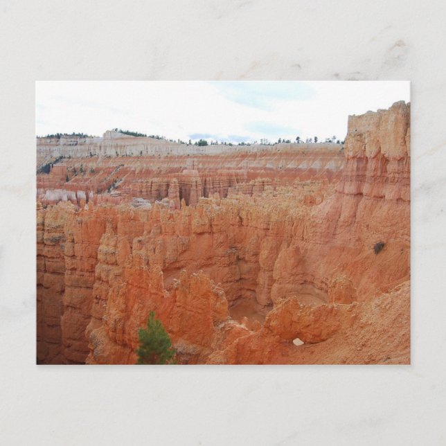 Bryce Canyon National Park, Utah, vykort (Framsida)