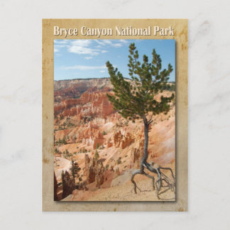 Bryce Canyon National Park, Utah Vykort