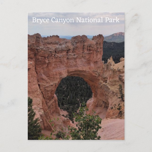 Bryce Canyon National Park-vykort Vykort (Framsida)