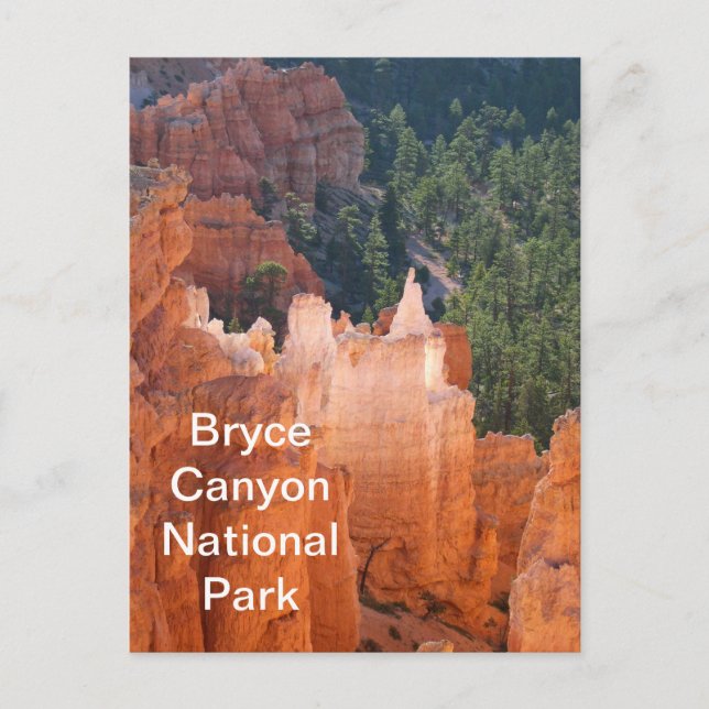 Bryce Canyon nationalpark Delicate Hoodoos Vykort (Framsida)