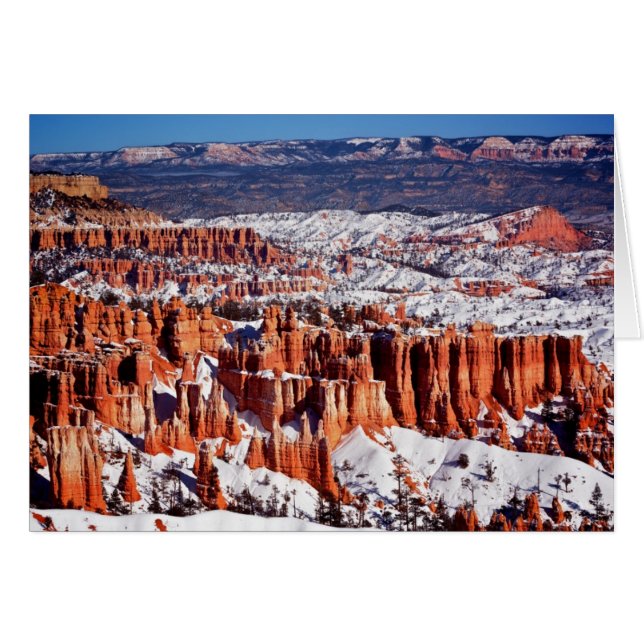 Bryce Canyon nationalpark Hälsningskort (Framsidan Horizontal)