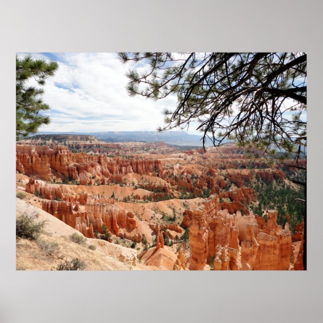 Bryce Canyon nationalpark Hoodoos Poster (Framsidan)