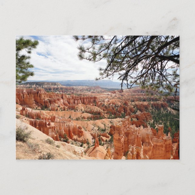 Bryce Canyon nationalpark Hoodoos Vykort (Framsida)