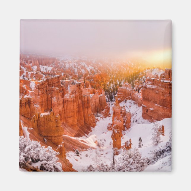 Bryce Canyon nationalpark Magnet (Framsidan)