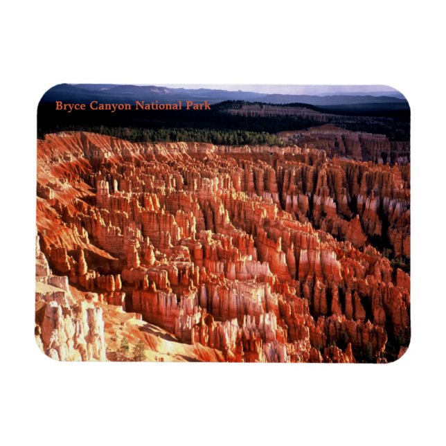 Bryce Canyon nationalpark Magnet (Horisontell)