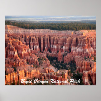 Bryce Canyon nationalpark Poster