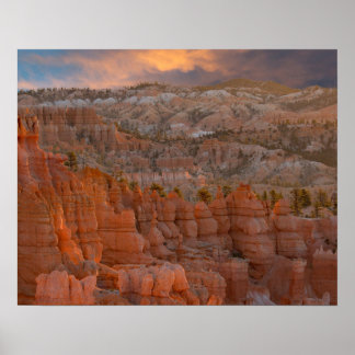 Bryce Canyon nationalpark Poster
