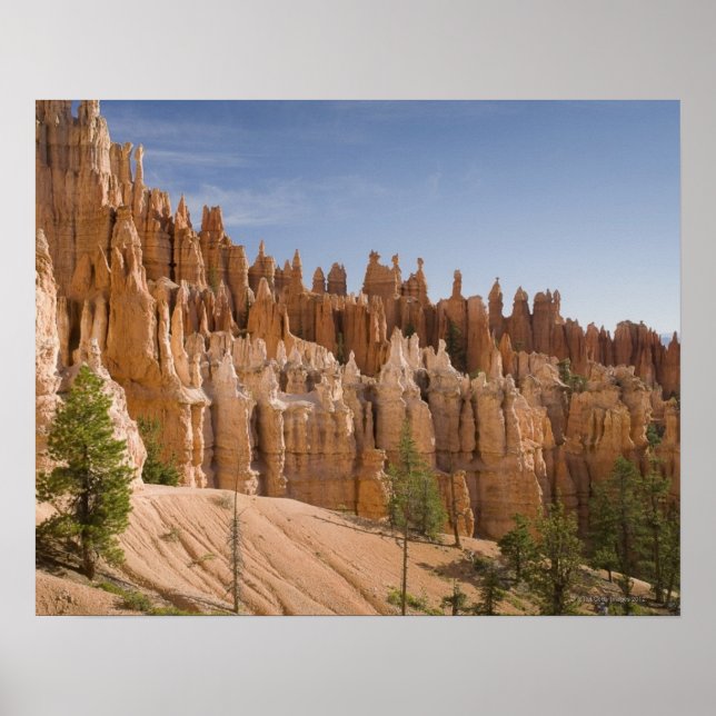 Bryce Canyon nationalpark Poster (Framsidan)