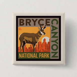 Bryce Canyon nationalpark Utah Knapp