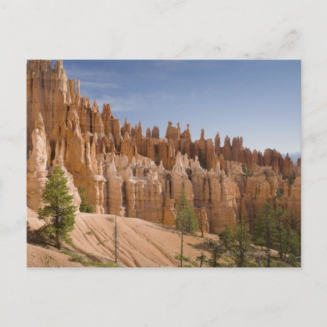 Bryce Canyon nationalpark Vykort (Framsida)