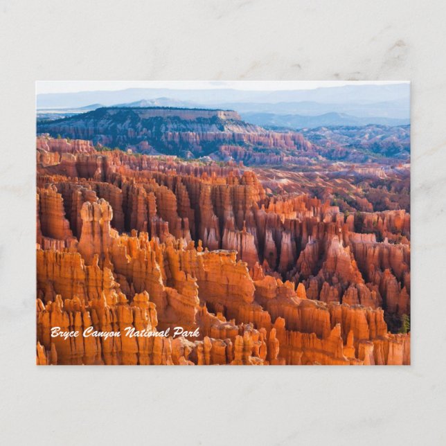 Bryce Canyon nationalpark Vykort (Framsida)