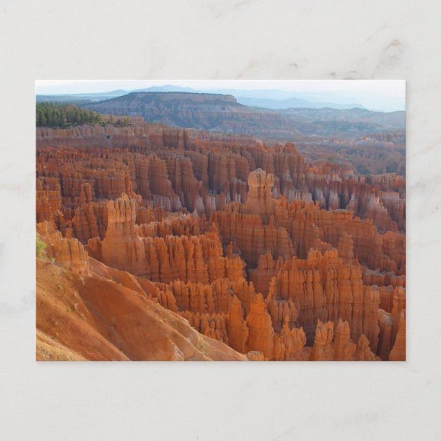 Bryce Canyon nationalpark Vykort (Framsida)