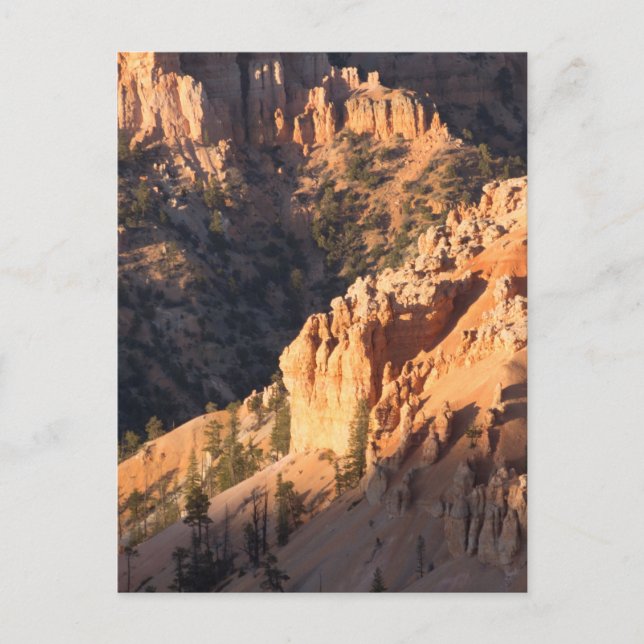 Bryce Canyon nationalpark Vykort (Framsida)