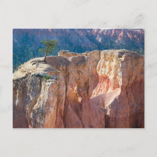 Bryce Canyon nationalpark Vykort