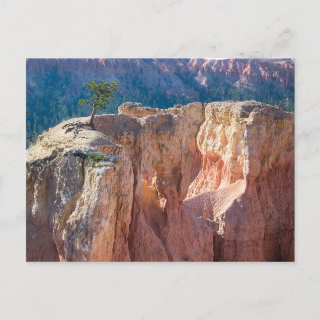 Bryce Canyon nationalpark Vykort (Framsida)