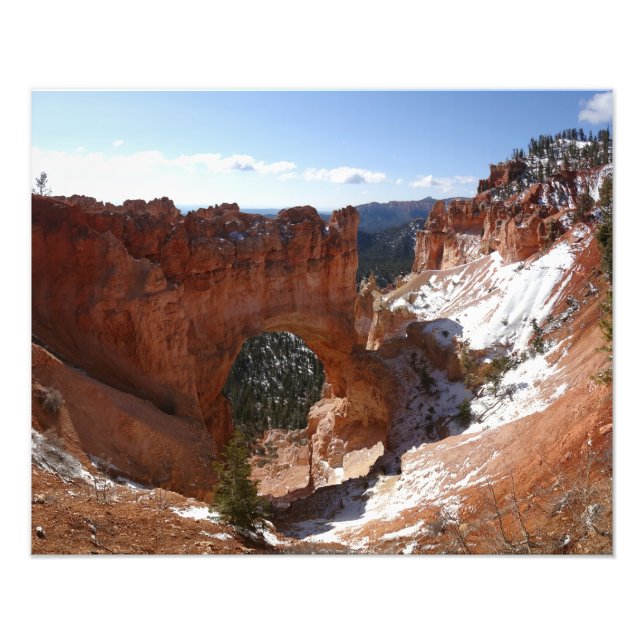 Bryce Canyon Natural Bridge Snowy Ligcape Photo Fototryck (Framsidan)