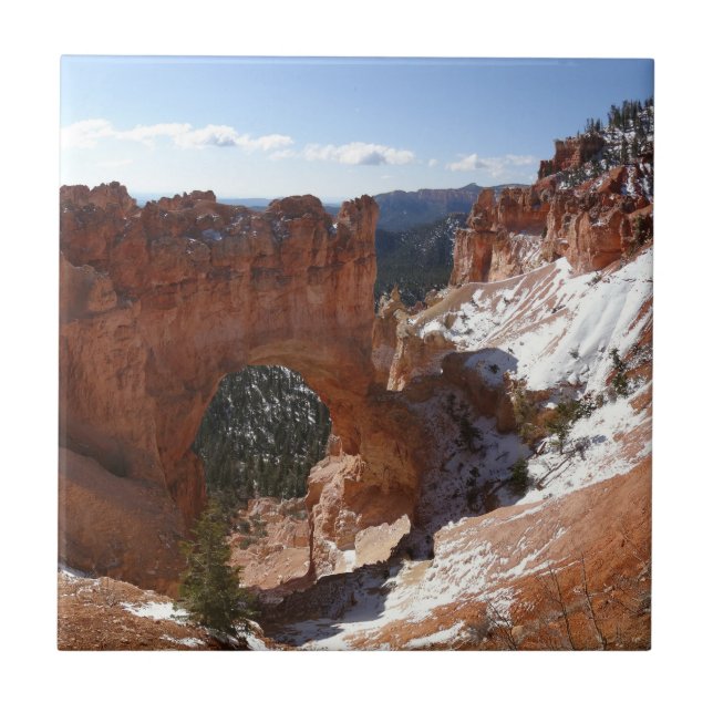 Bryce Canyon Natural Bridge Snowy Ligcape Photo Kakelplatta (Framsidan)