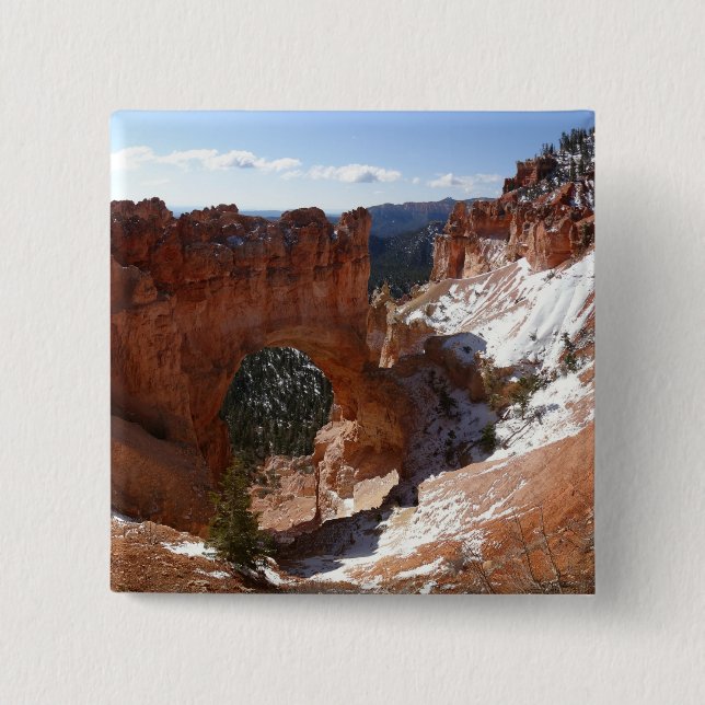 Bryce Canyon Natural Bridge Snowy Ligcape Photo Knapp (Framsida)