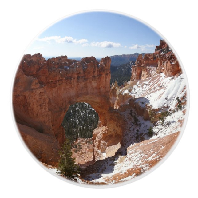 Bryce Canyon Natural Bridge Snowy Ligcape Photo Knopp (Framsidan)