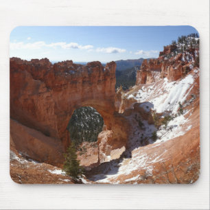 Bryce Canyon Natural Bridge Snowy Ligcape Photo Musmatta