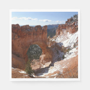 Bryce Canyon Natural Bridge Snowy Ligcape Photo Pappersservett