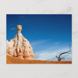 Bryce Canyon NP - Gnom och ett träd vykort