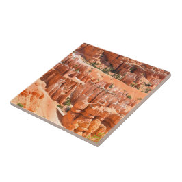 Bryce Canyon Park Utah Landskap Hoodoos Foto Kakelplatta