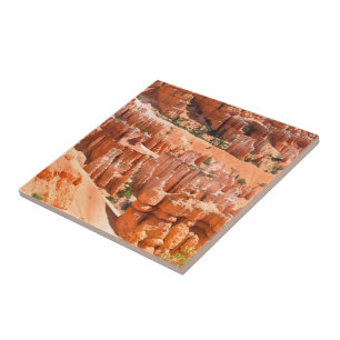 Bryce Canyon Park Utah Landskap Hoodoos Foto Kakelplatta