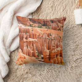 Bryce Canyon Park Utah Landskap Hoodoos Foto Kudde