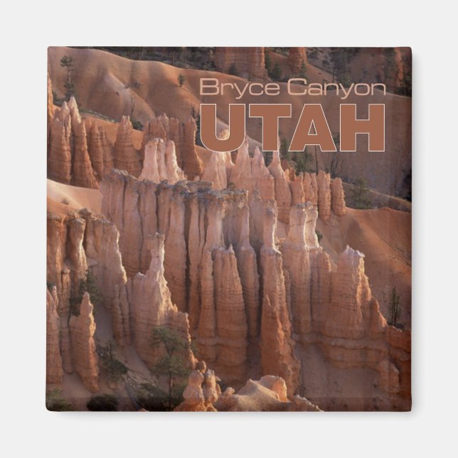 Bryce Canyon Photo Utah Souvenir Fridge Magnets Magnet (Framsidan)