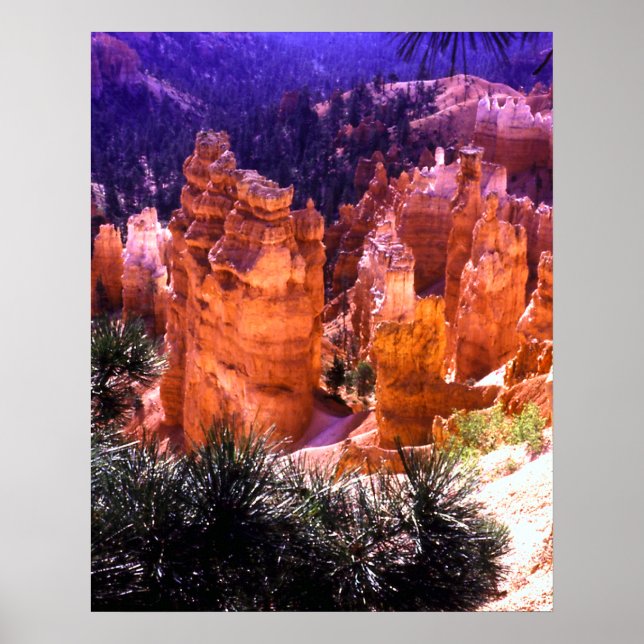Bryce Canyon Print Poster (Framsidan)