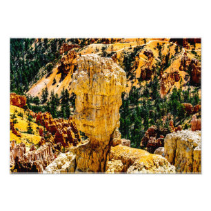 Bryce Canyon Robot Man Fototryck
